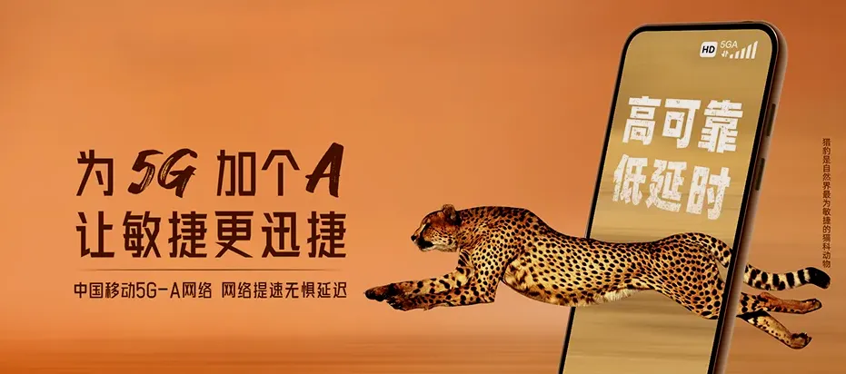 荥经县荥经县青龙镇 移动宽带